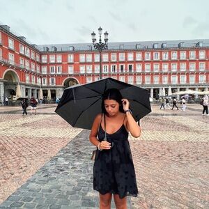 Aritzia Black Floral Mini Dress